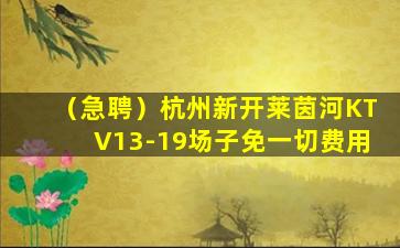 南京酒吧招聘